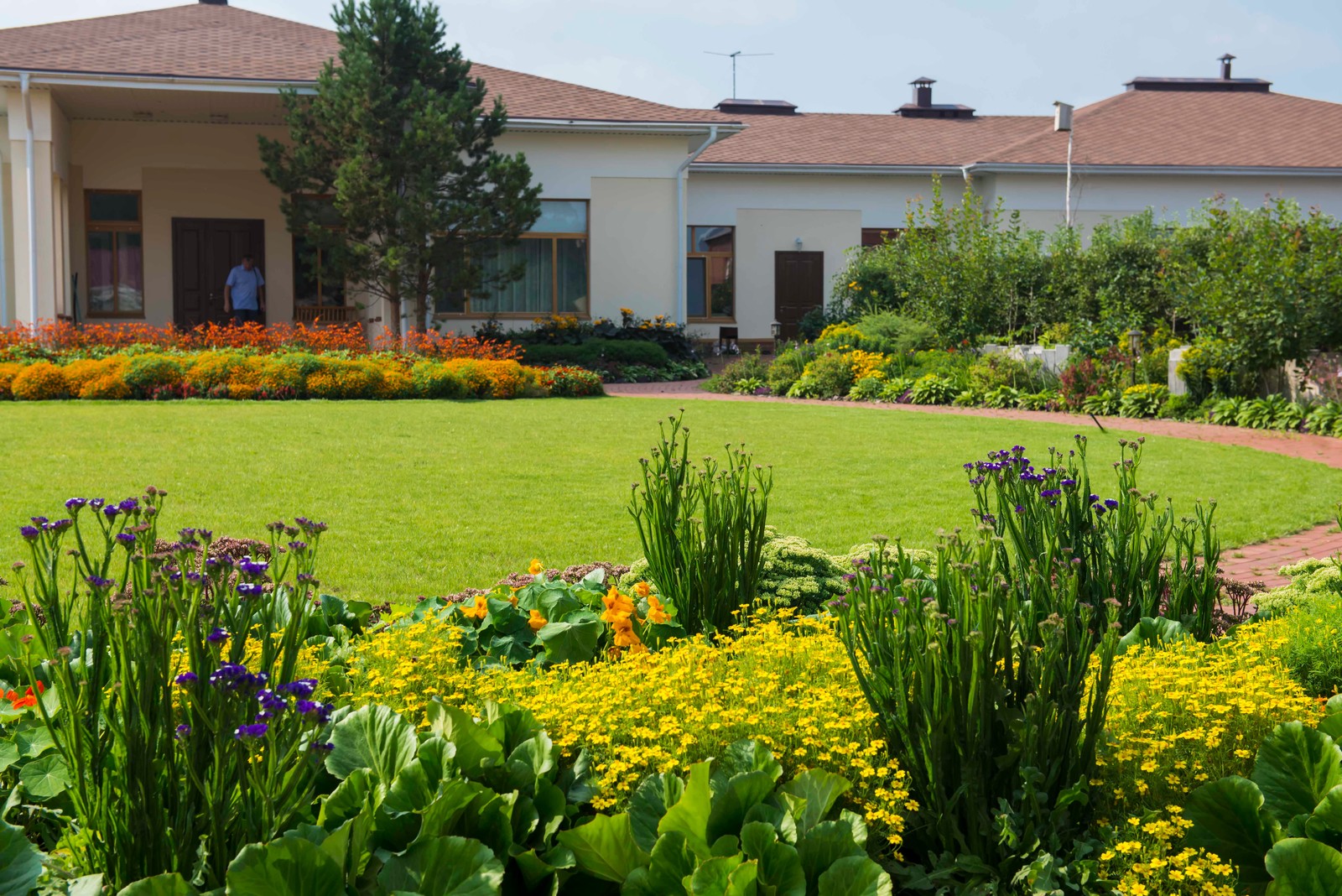 Цветники из однолетников