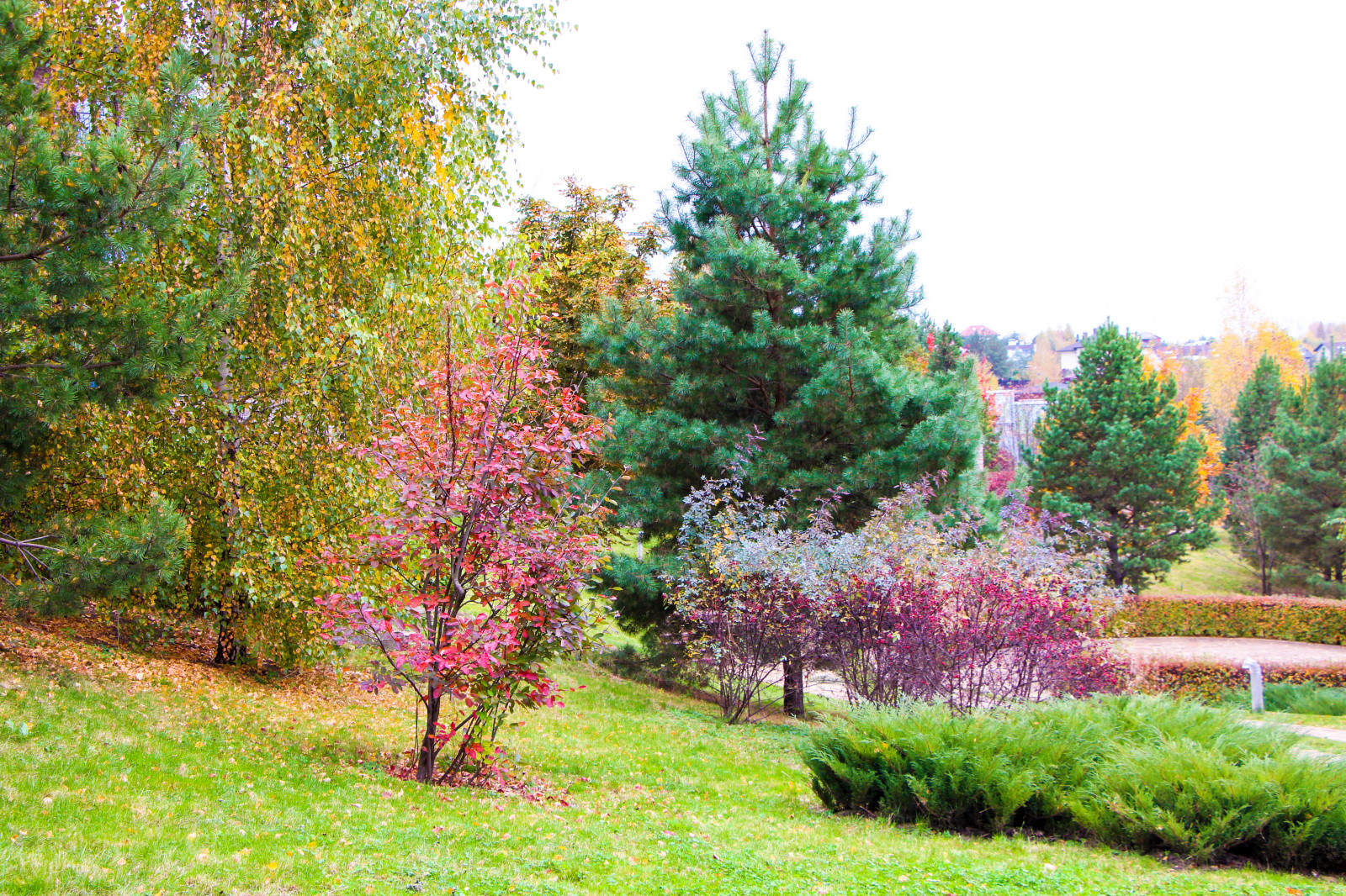 Лобаново, 2012-2021 гг.