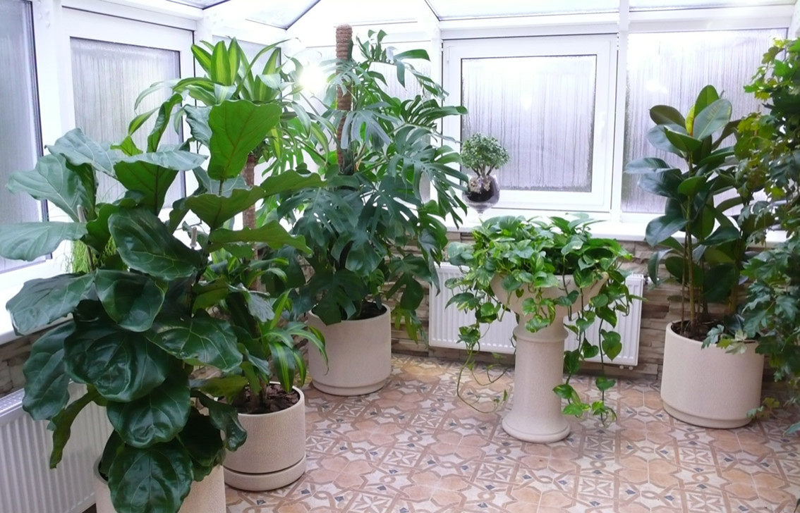 Зимние сады