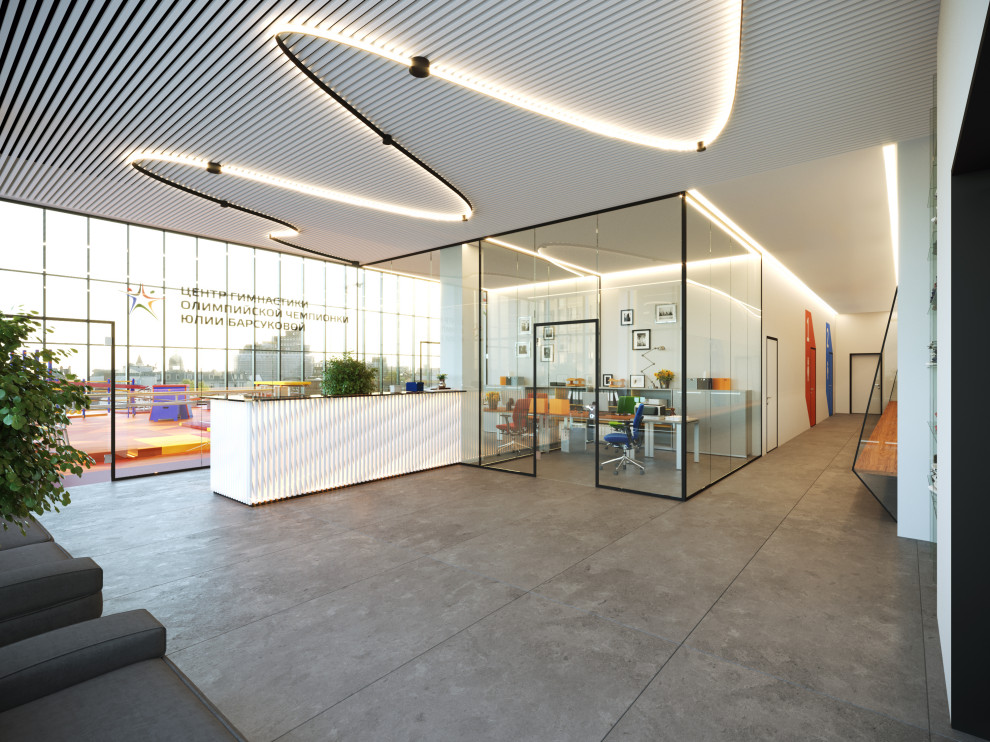 Центр Художественной гимнастики Юлии Барсуковой г. Санкт-Петербург