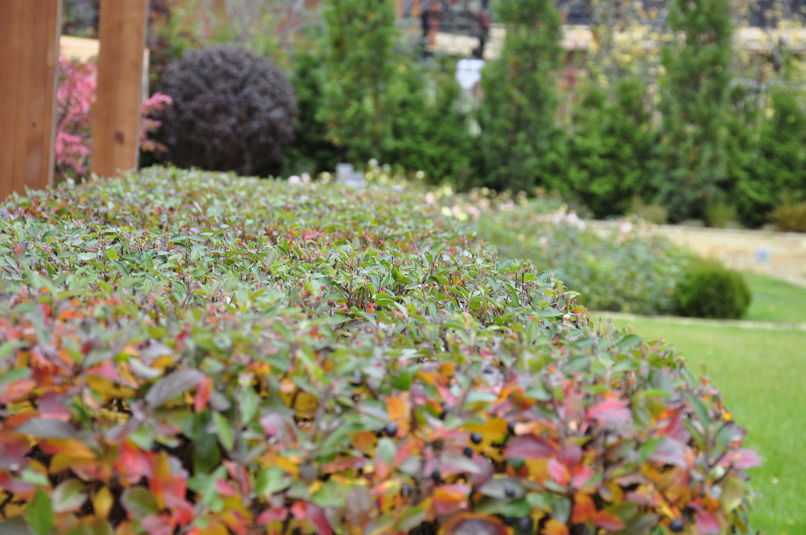 кп "Фортопс" - Профессиональный уход за садом - 100% качество!