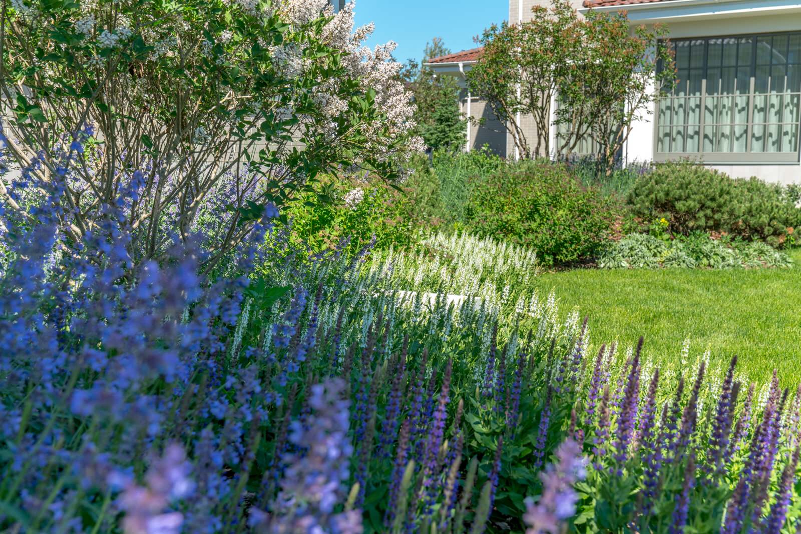 Игра контрастов. Миллениум Парк 2018 г.