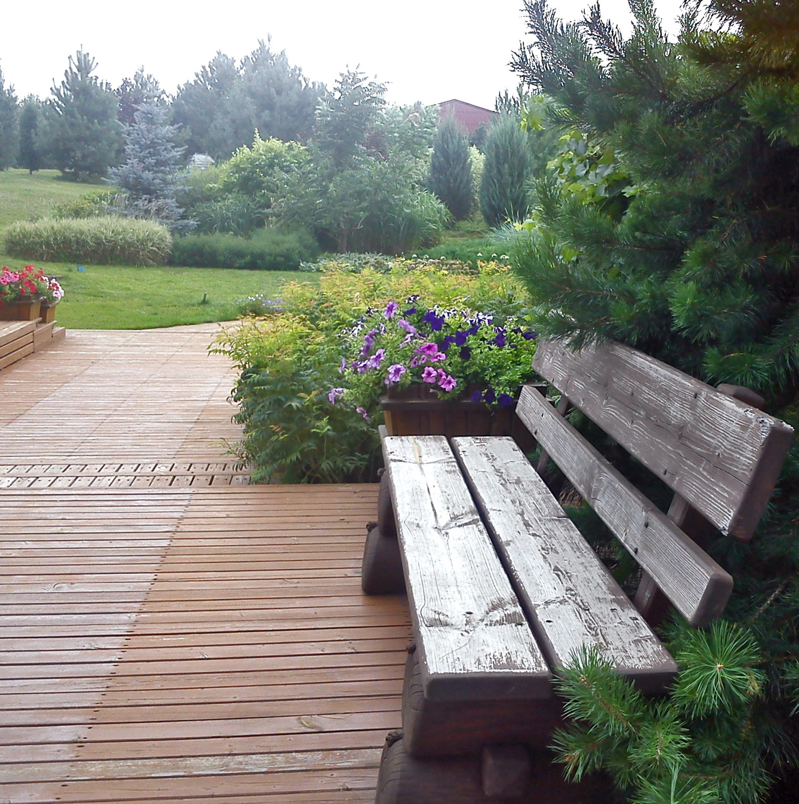 "Сад солнечного ветра"