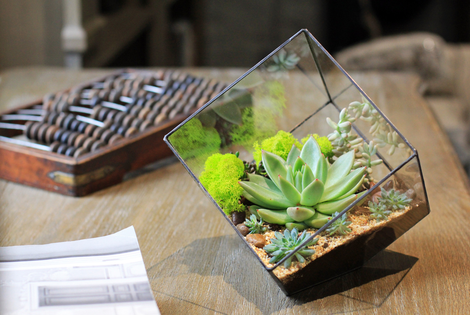 Обложка альбома: Эко