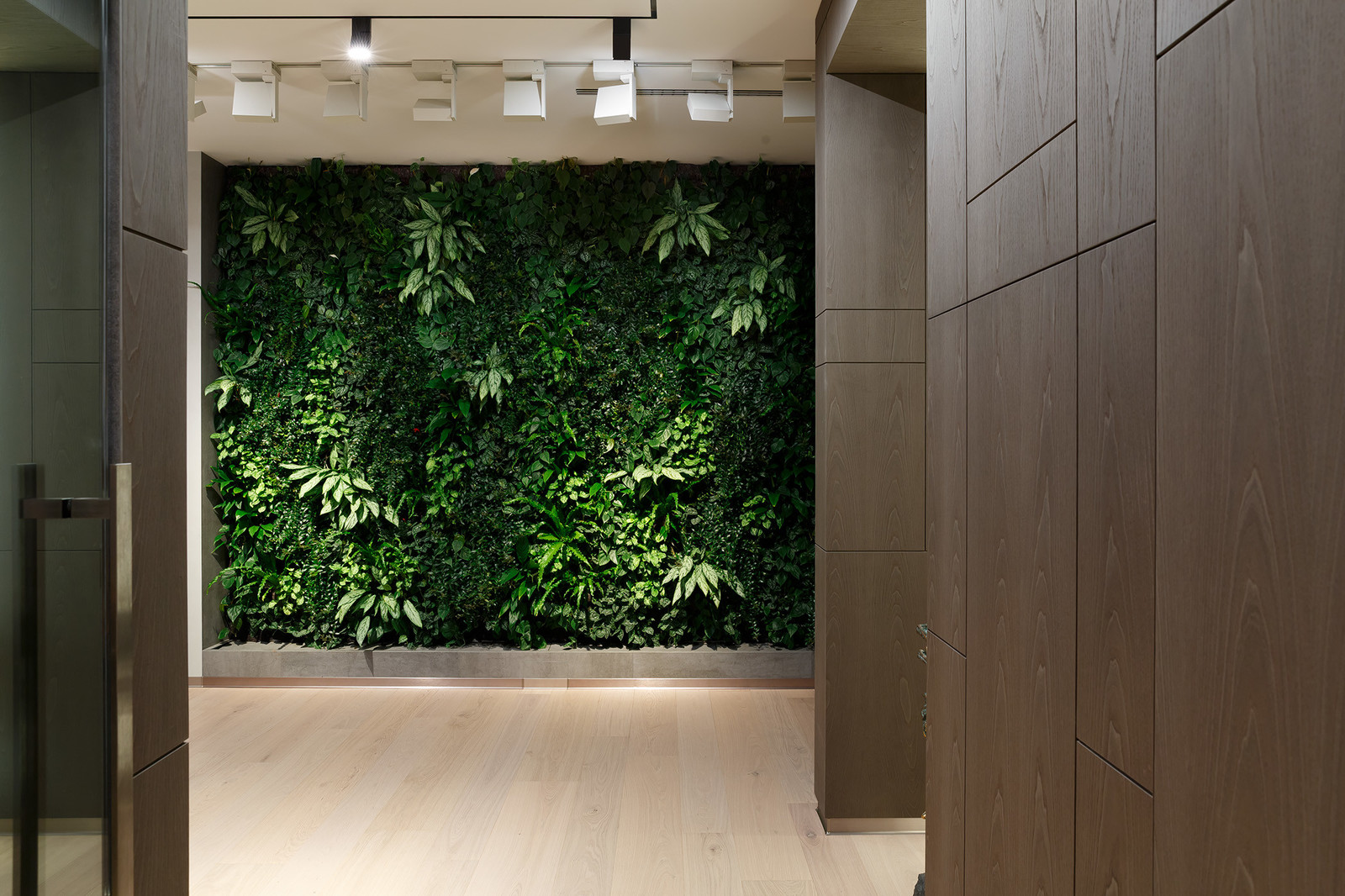 ПРОЕКТ КВАРТИРЫ В САНКТ-ПЕТЕРБУРГЕ