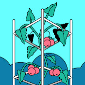 Мишель Виниченко