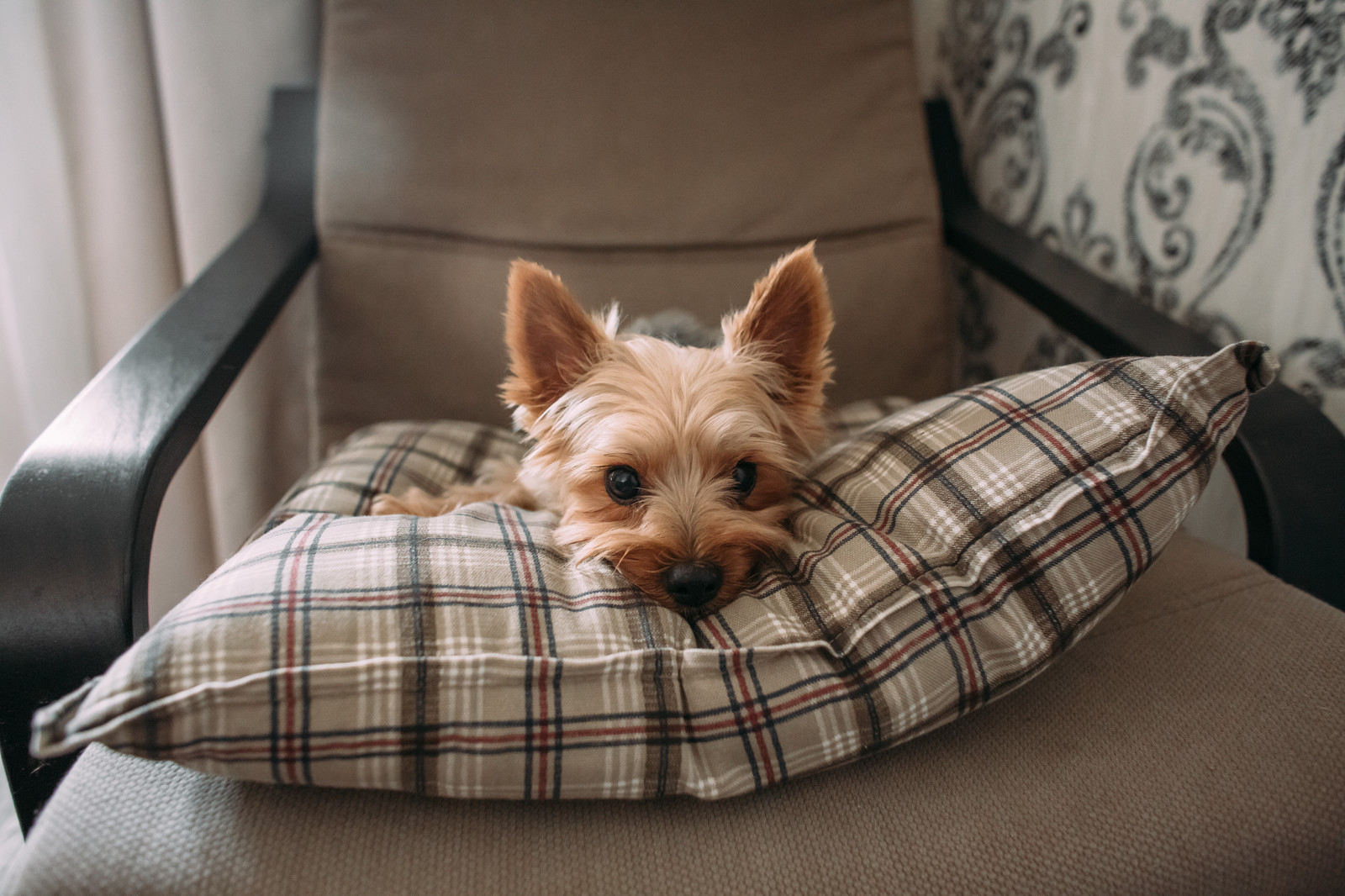 Обложка проекта: ФМР КВАРТИРА В  СОВРЕМЕННОМ СТИЛЕ