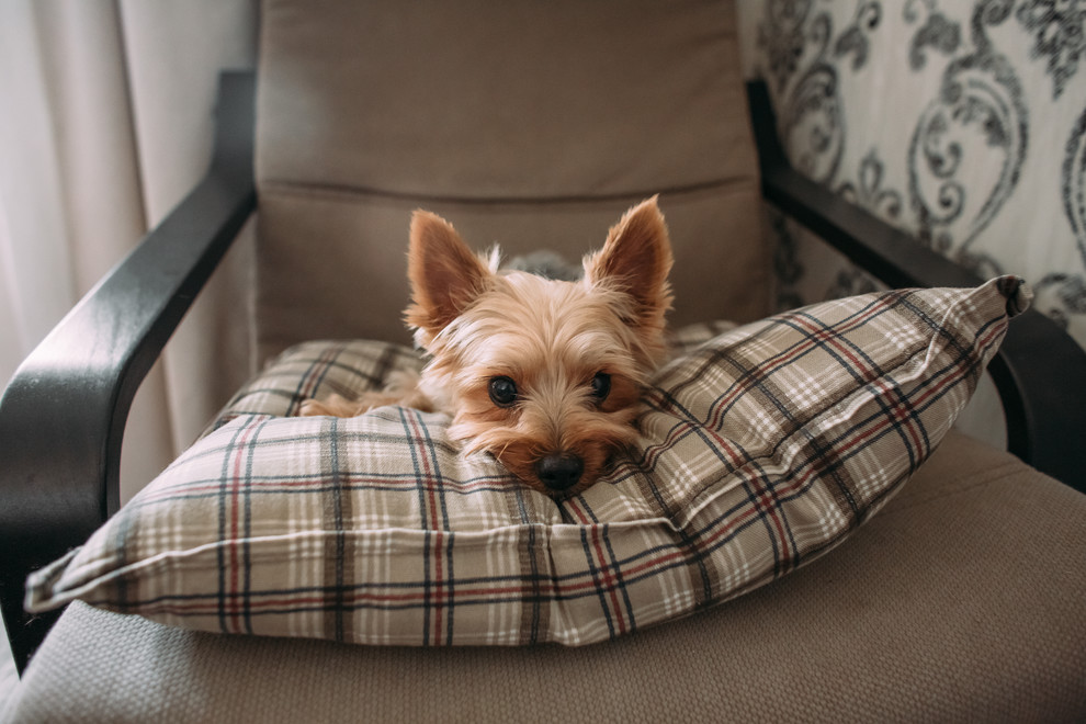 Обложка проекта: ФМР КВАРТИРА В  СОВРЕМЕННОМ СТИЛЕ