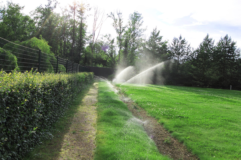 Пос. Лисий нос