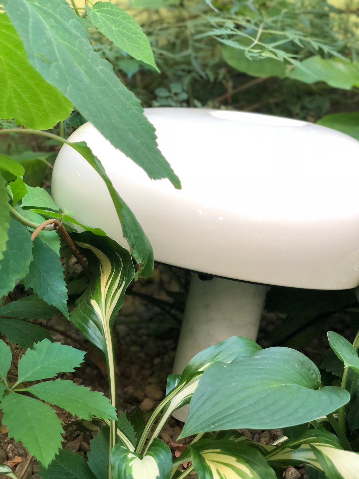 Коллекционный Snoopy Limited Edition в белом цвете