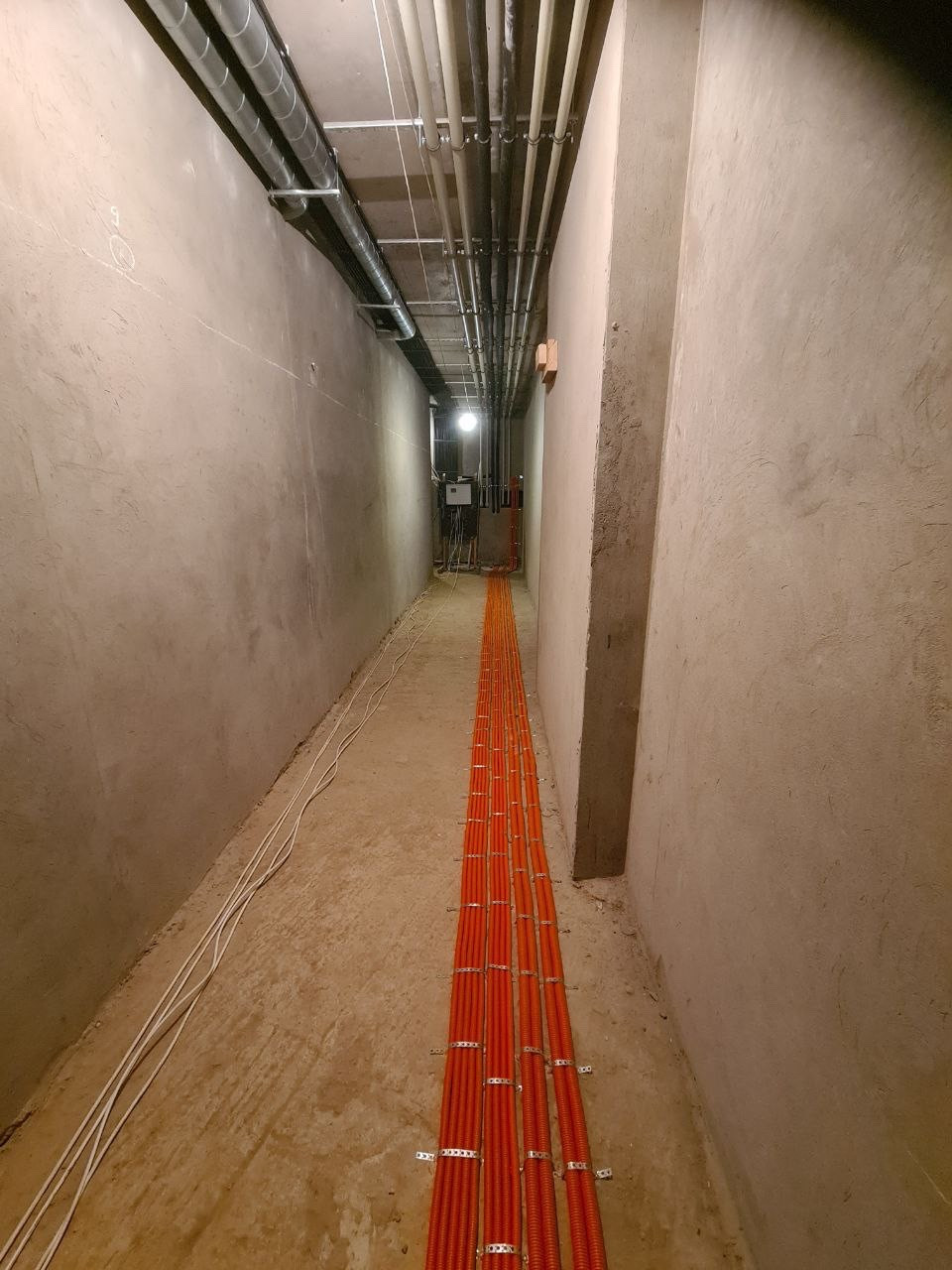 PHOTO-2023-01-29-14-11-18 4.jpg