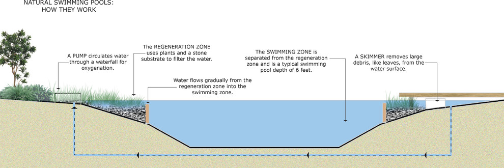 Естественные бассейны: Больше красоты и никаких химикатов