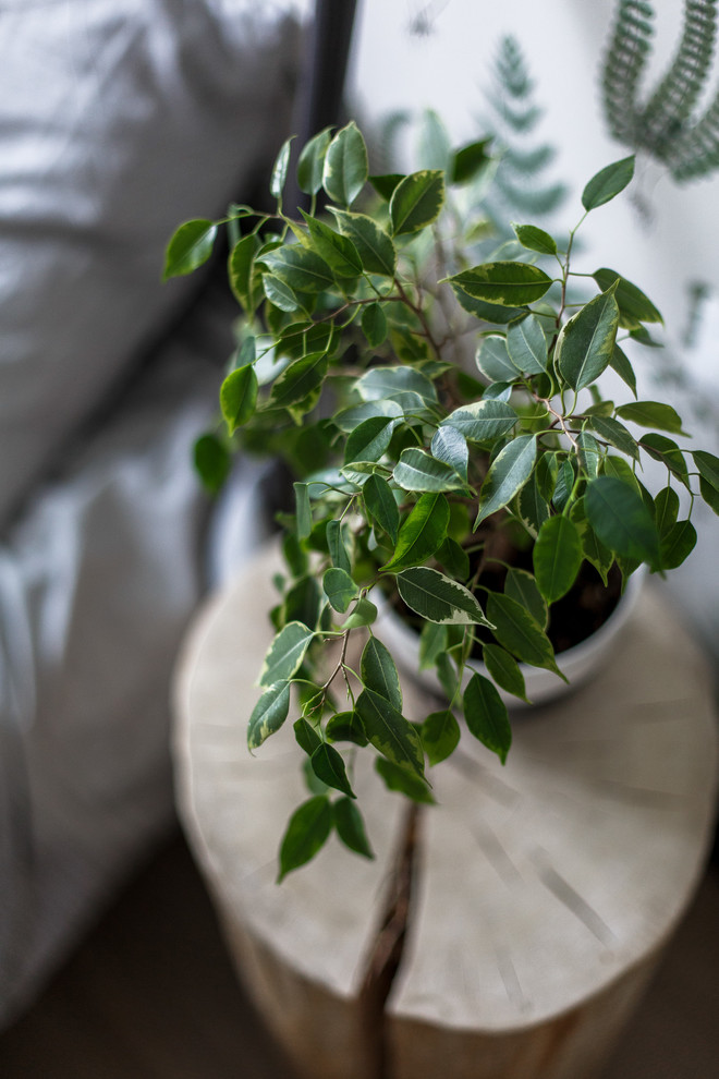 Квартира с двумя спальнями в Протвино