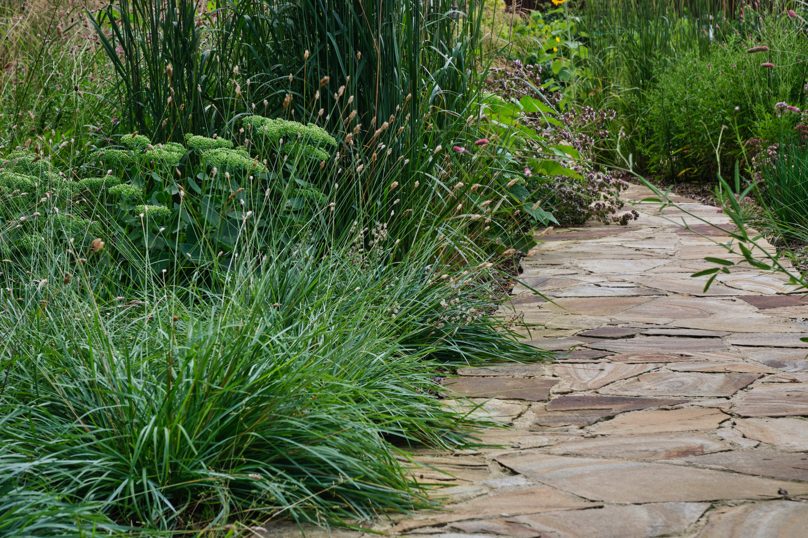 "Сад на Волге" в Тверской области