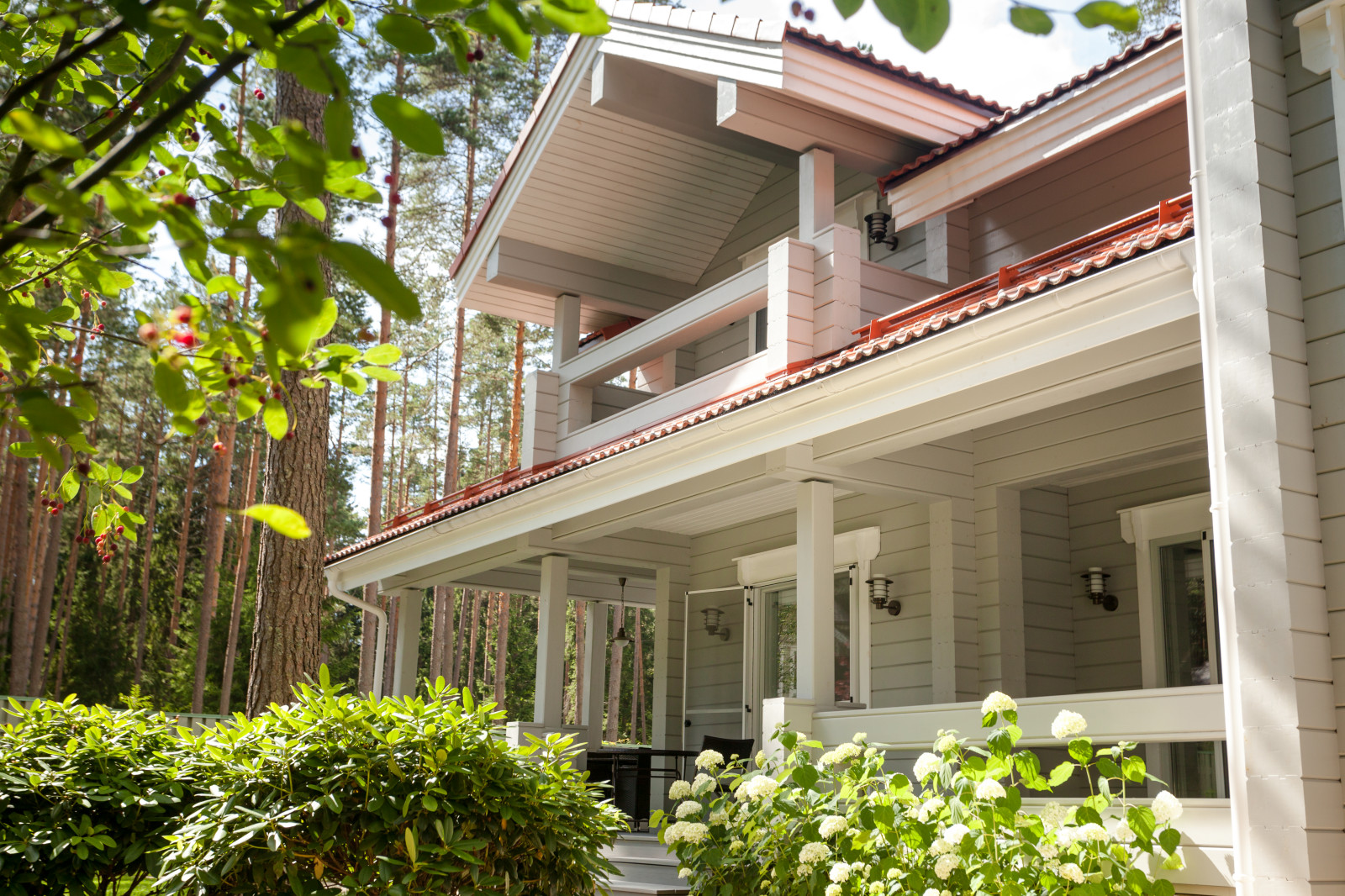 Обложка проекта: Комарово