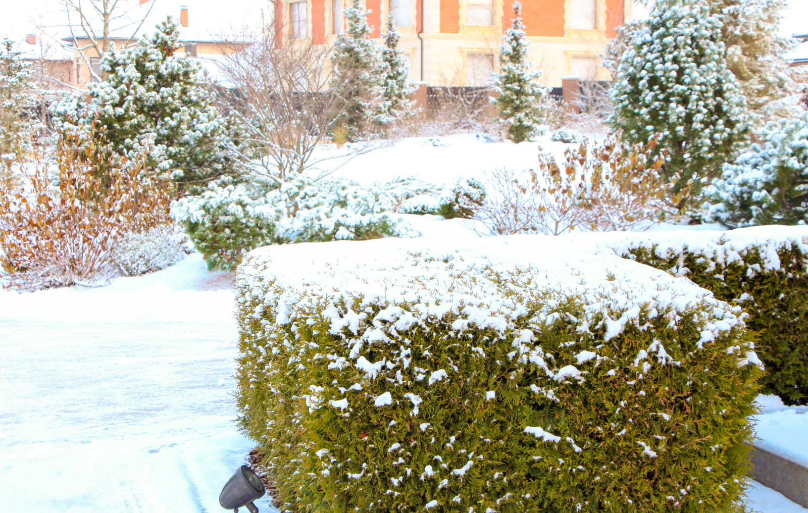 Горки-10, 2017-2020 г.г.