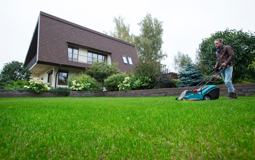 Обложка альбома: Идеи пользователя webuser_721249212