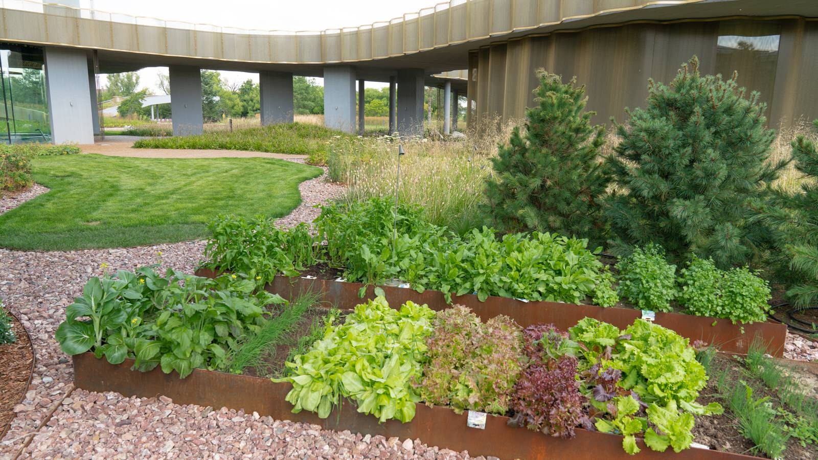 Природный сад. Жуковка XXI век. 2017-2018 гг.