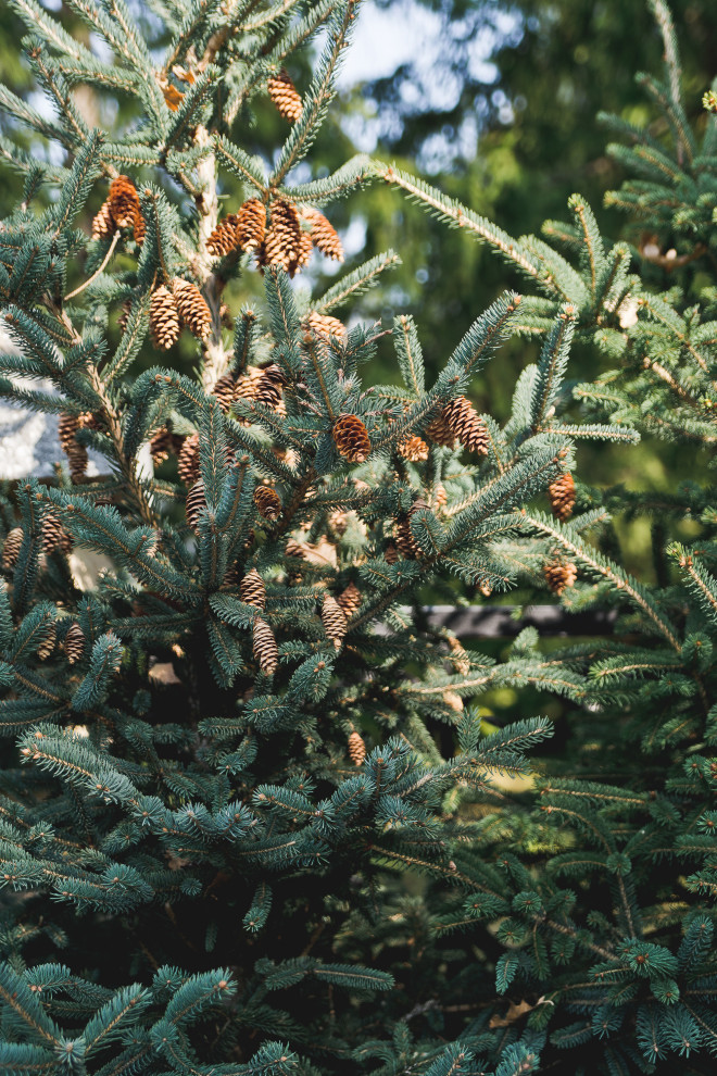 Маленький сад перед таунхаусом