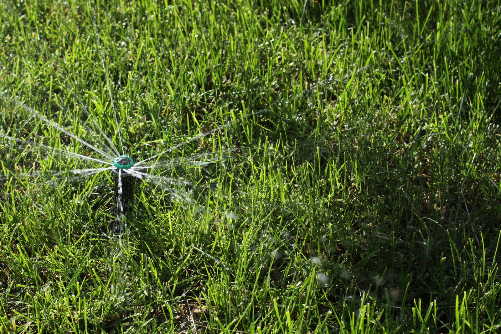 Обложка проекта: Проект автополива 8 соток