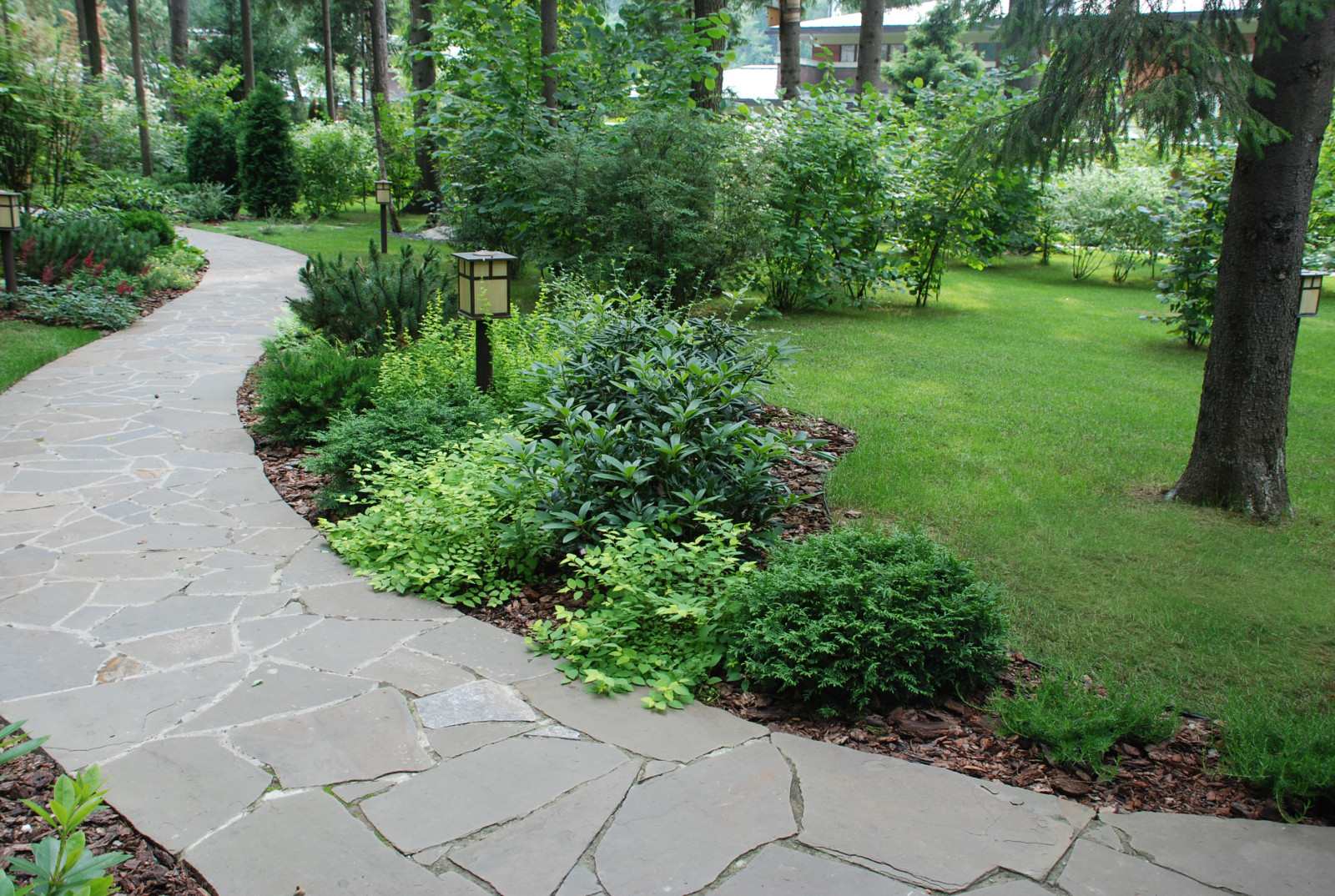 Лесной участок в КП "РИИТА"