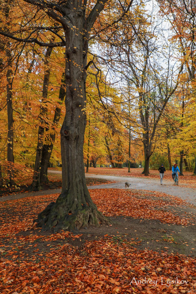 Мюнхен - парк Максимилиансанлаген (Maximiliansanlagen)