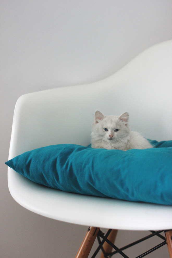 Скандинавская однушка в г. Волгограде