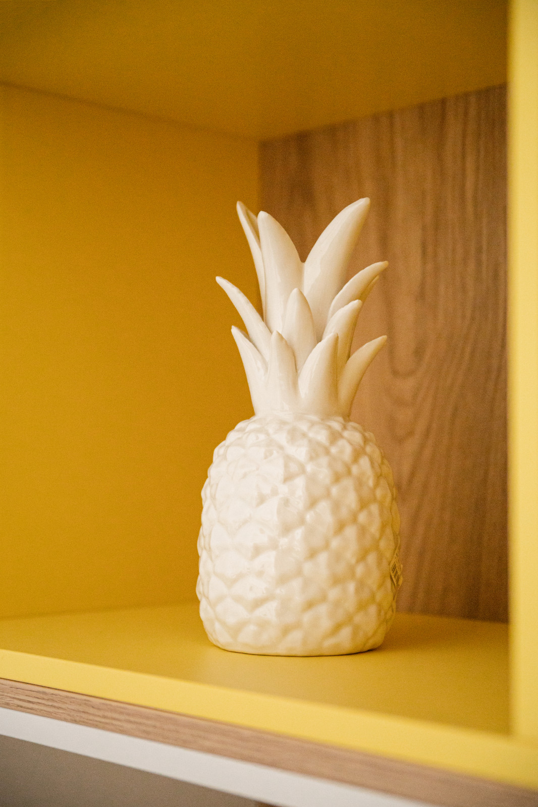 Фотосессия дома 120 кв м в п. Суворовы