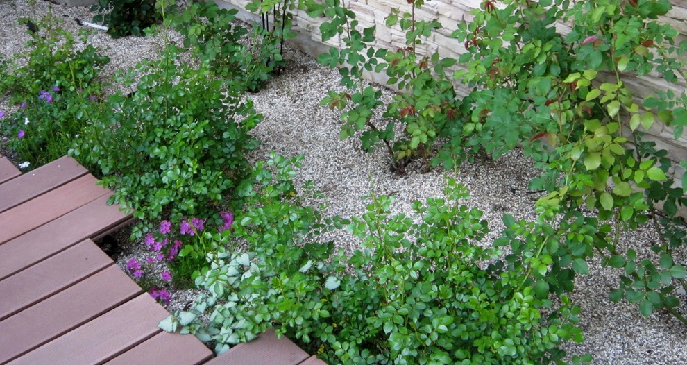 Мини-розарий у солярия