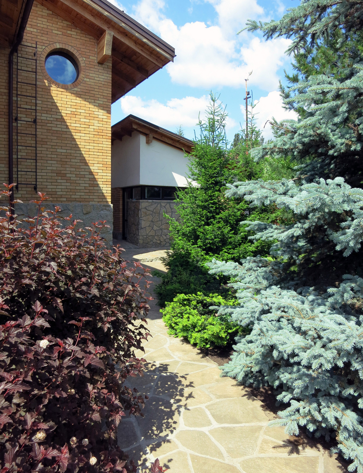 Сад с большими пихтами