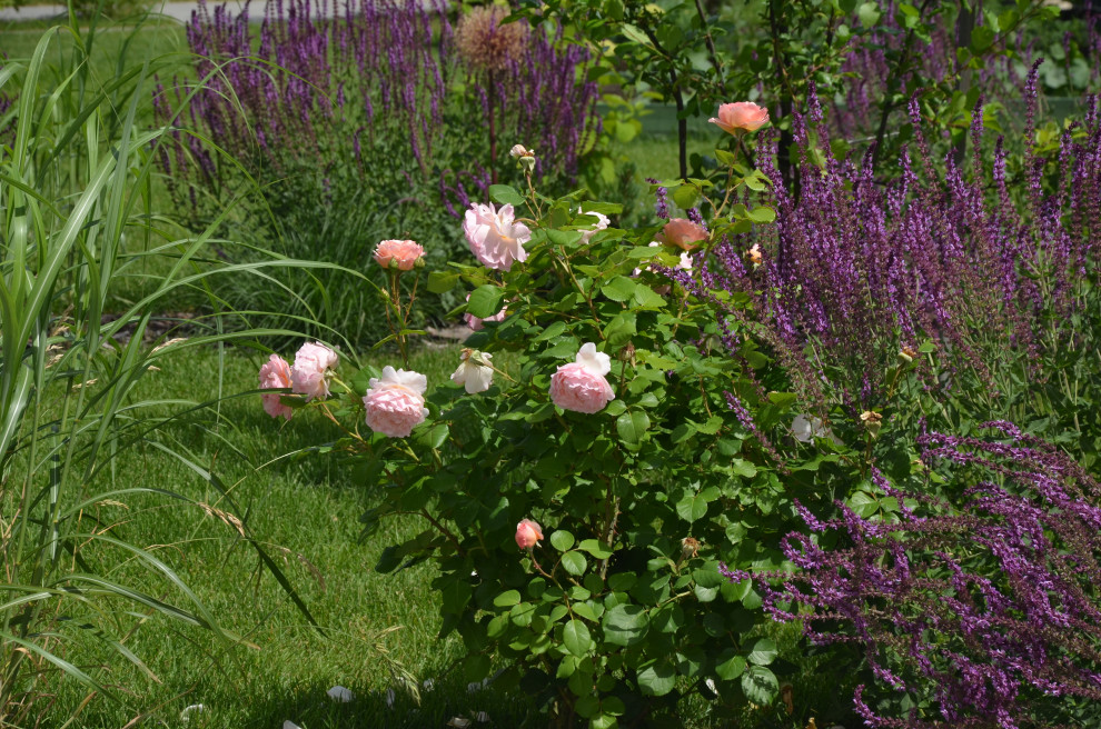 Обложка проекта: Мягкий и пушистый