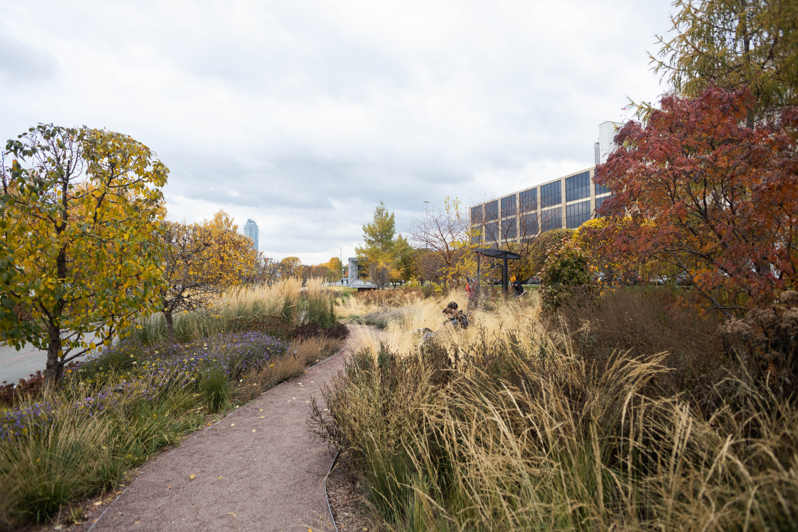 Сад трав+ Ботаник