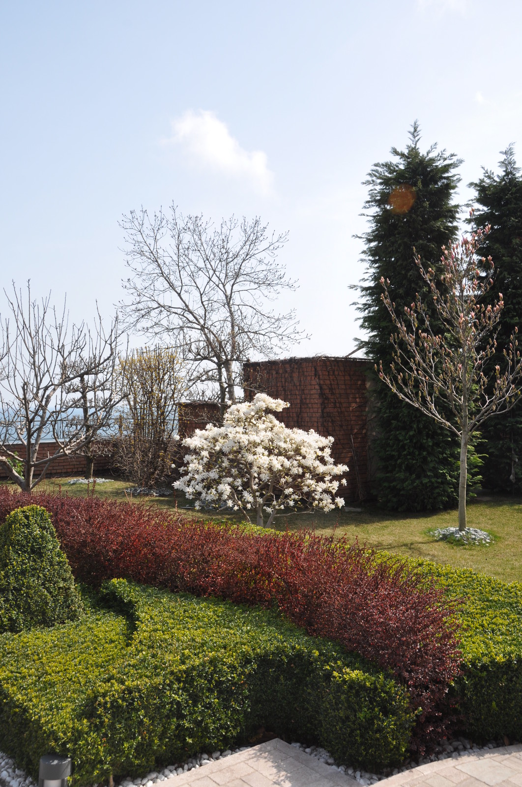 Обложка проекта: Classic Italian garden. / Классический итальянский сад.