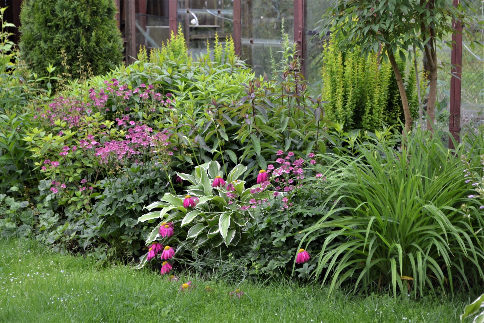 Сады выпускников. "Уголок моей радости", сад Екатерины БАРСОВОЙ.