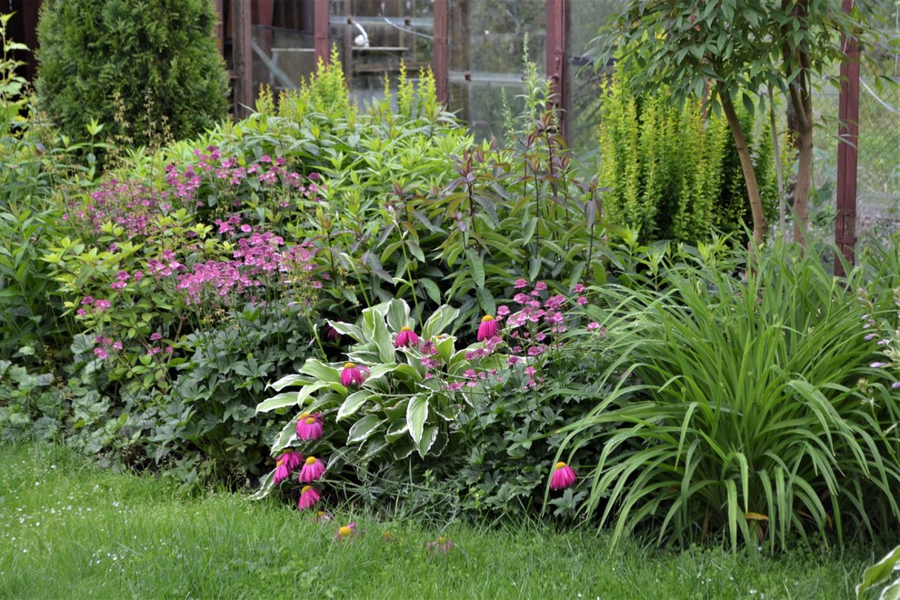 Сады выпускников. "Уголок моей радости", сад Екатерины БАРСОВОЙ.