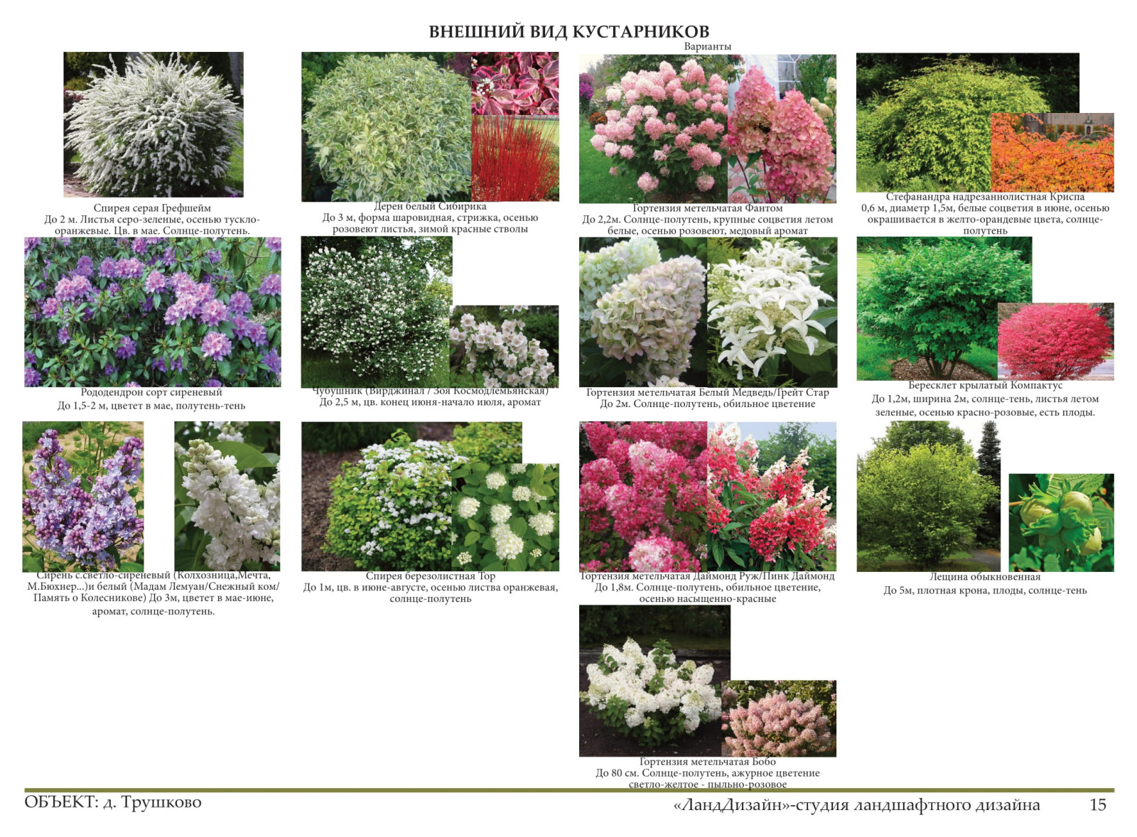 Проект ландшафтного дизайна