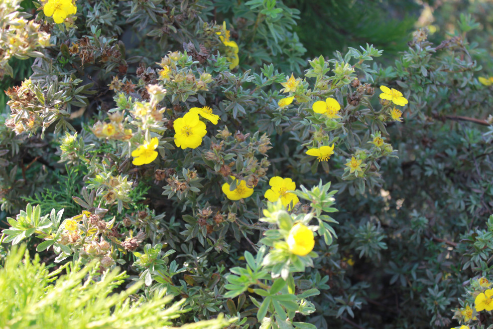 В гостях у Сказки