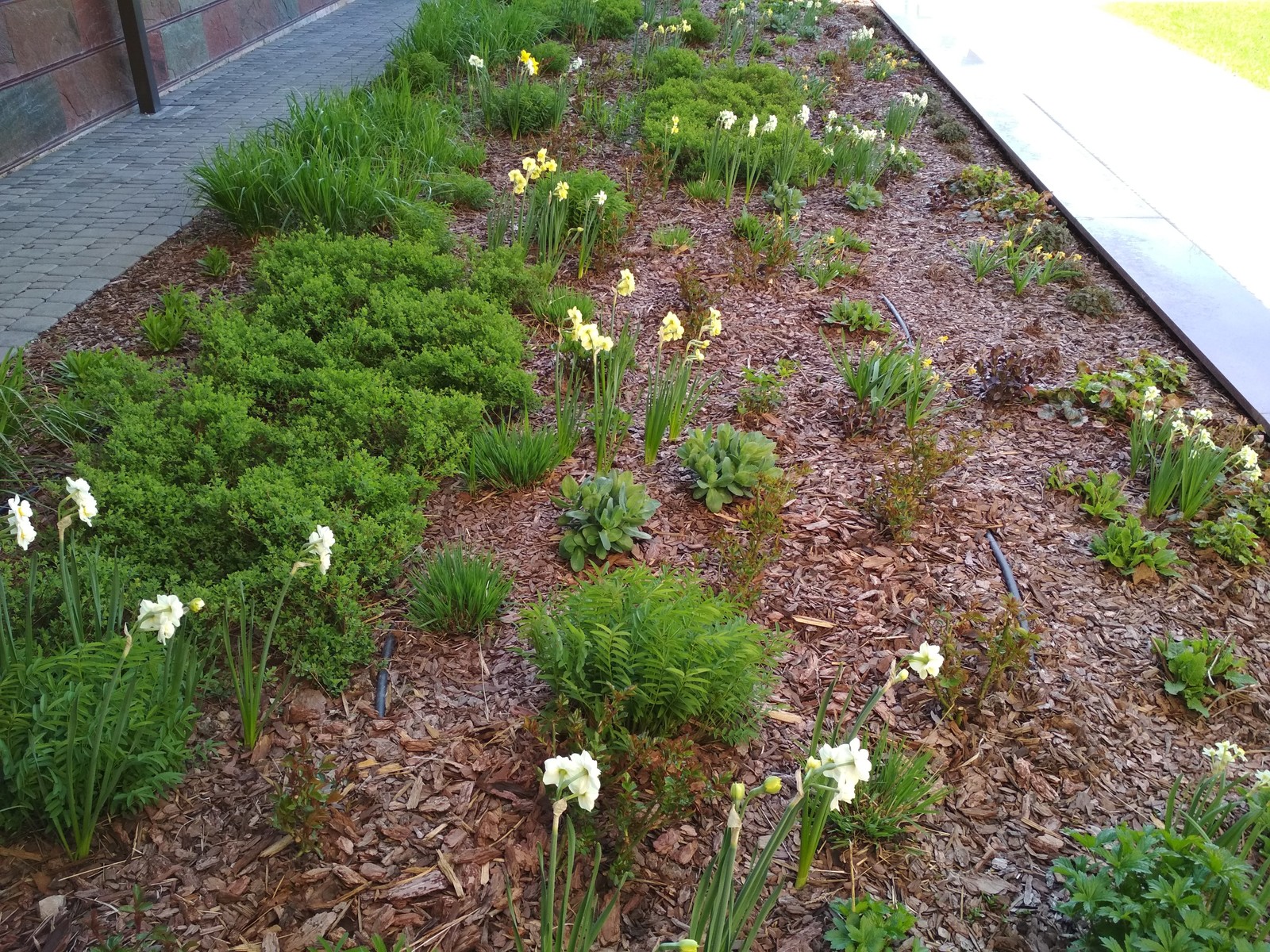 кп "Мартемьяново" - Профессиональный уход за садом - 100% качество!