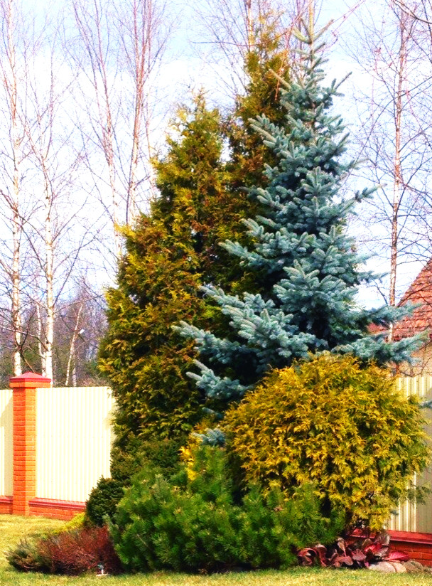 Фото выполненных работ