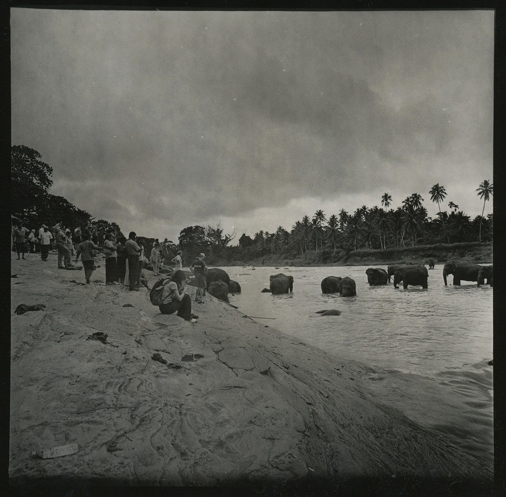 Авторские работы