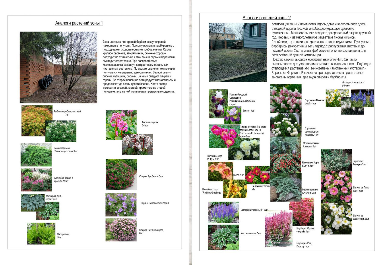 Ассортимент растений