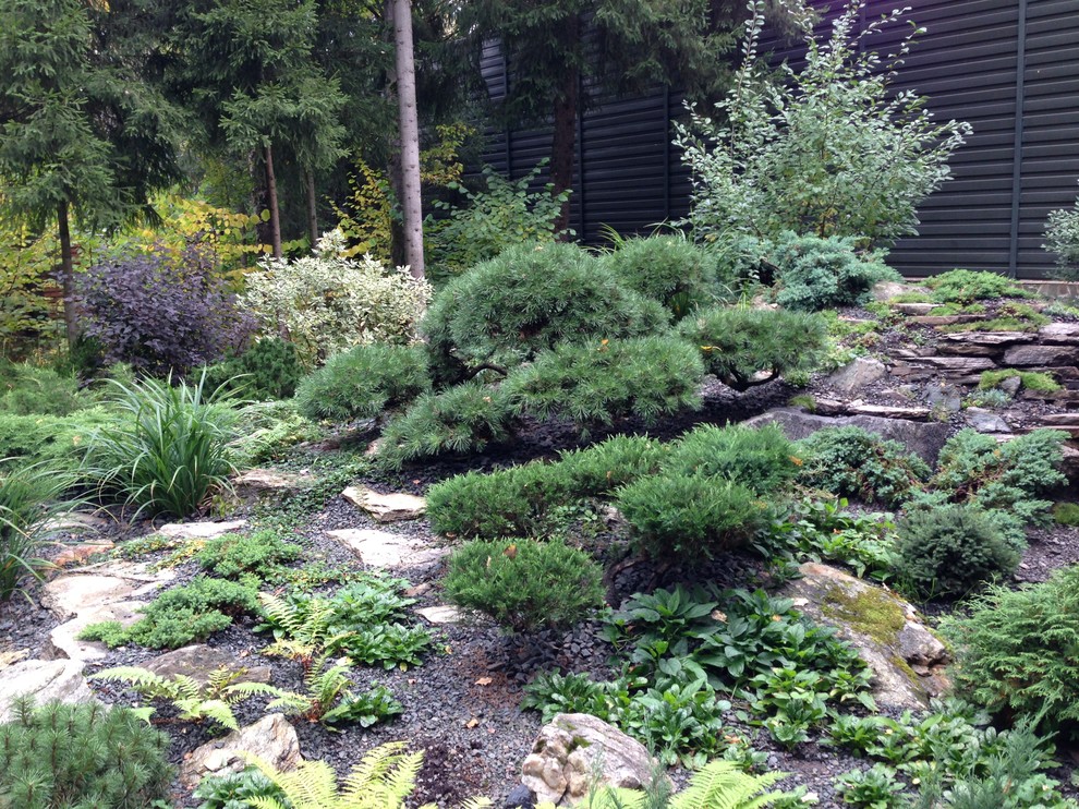 Успенское шоссе РИИТА