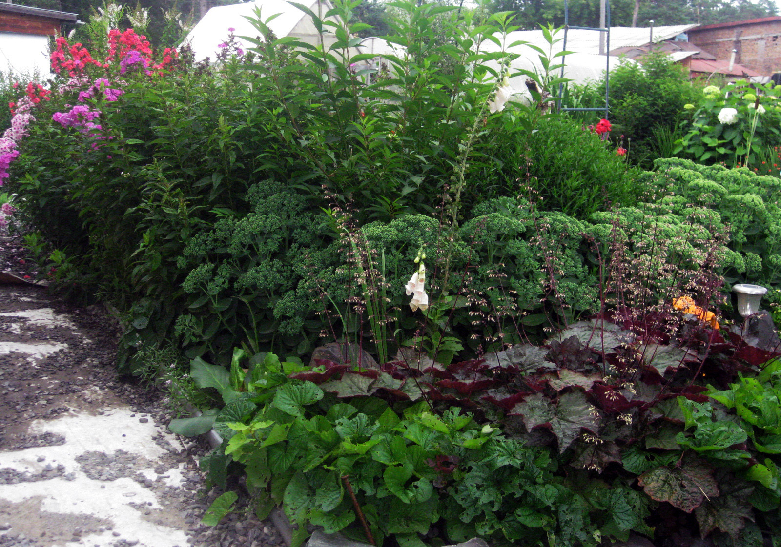 Цветник из многолетников