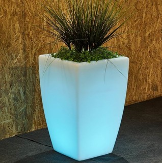 Ирина Еремеева