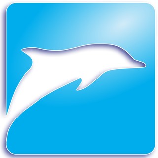 Delfin Pools