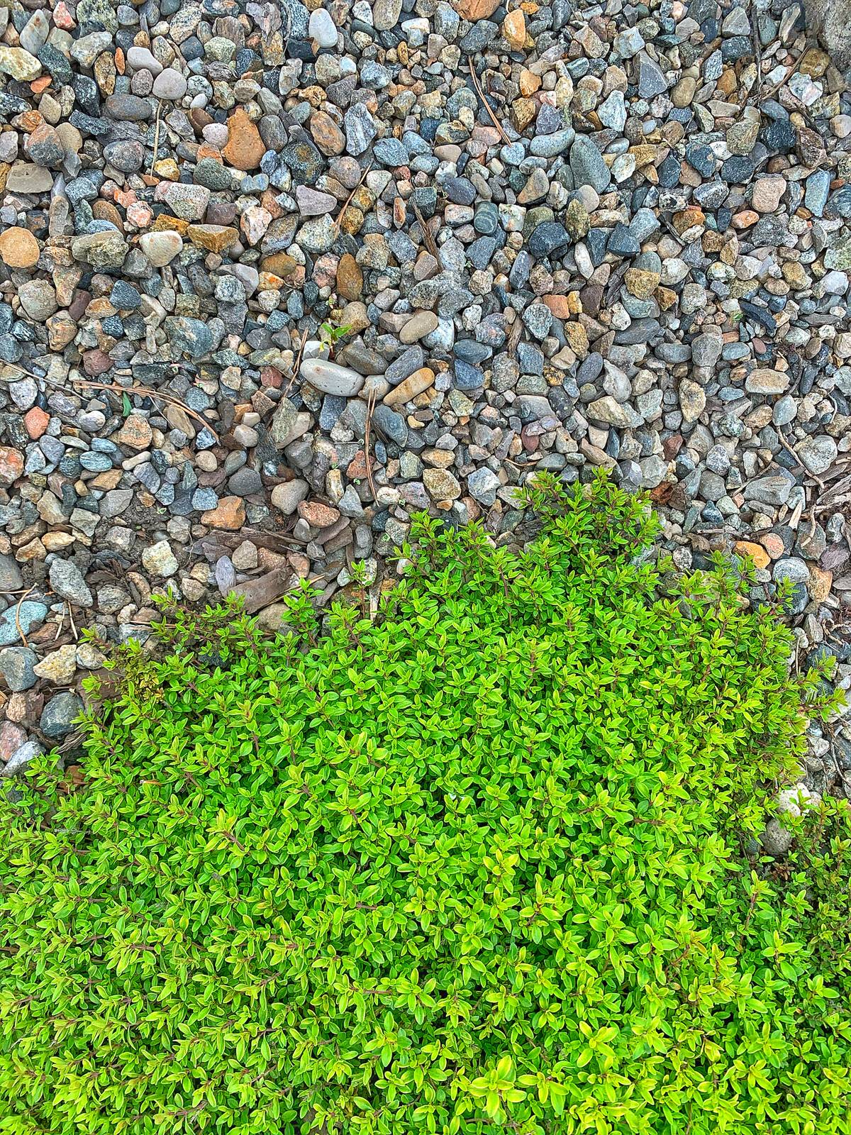 Ландшафтный дизайн в п. Молодёжный (Иркутск)