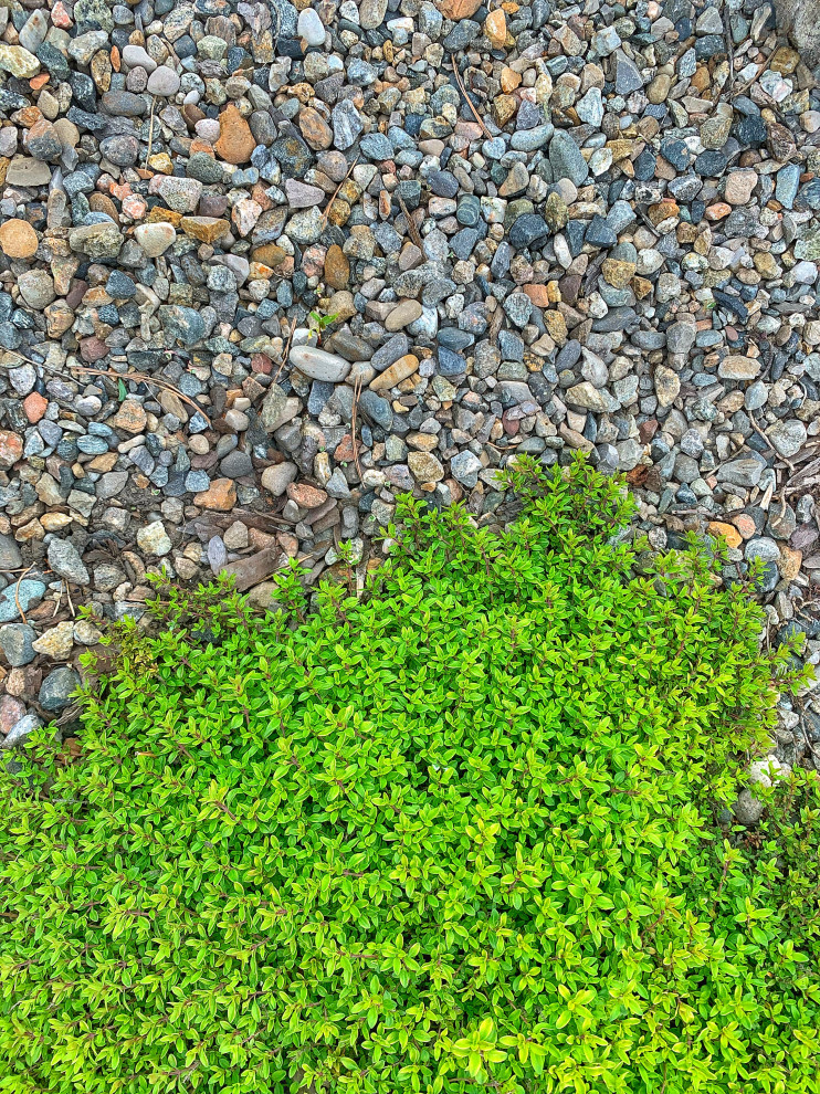 Ландшафтный дизайн в п. Молодёжный (Иркутск)