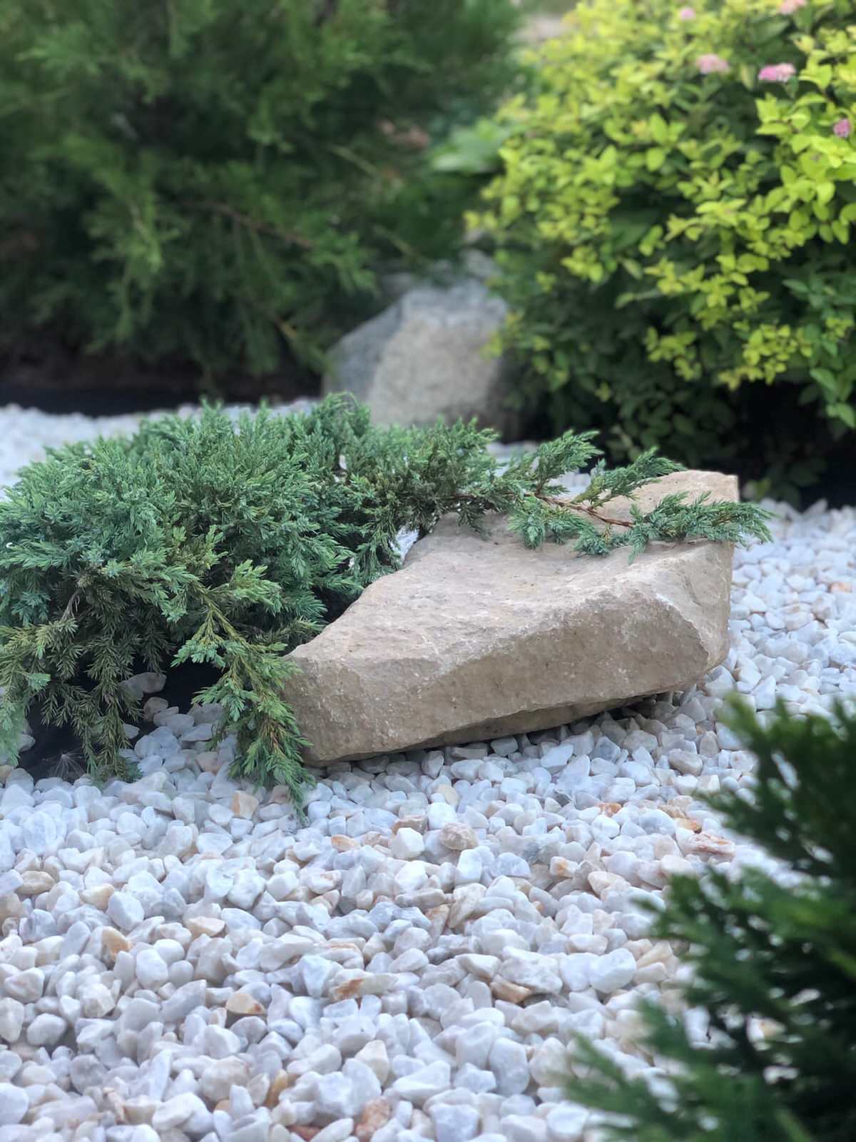 Проектирование цветников 2018-2020