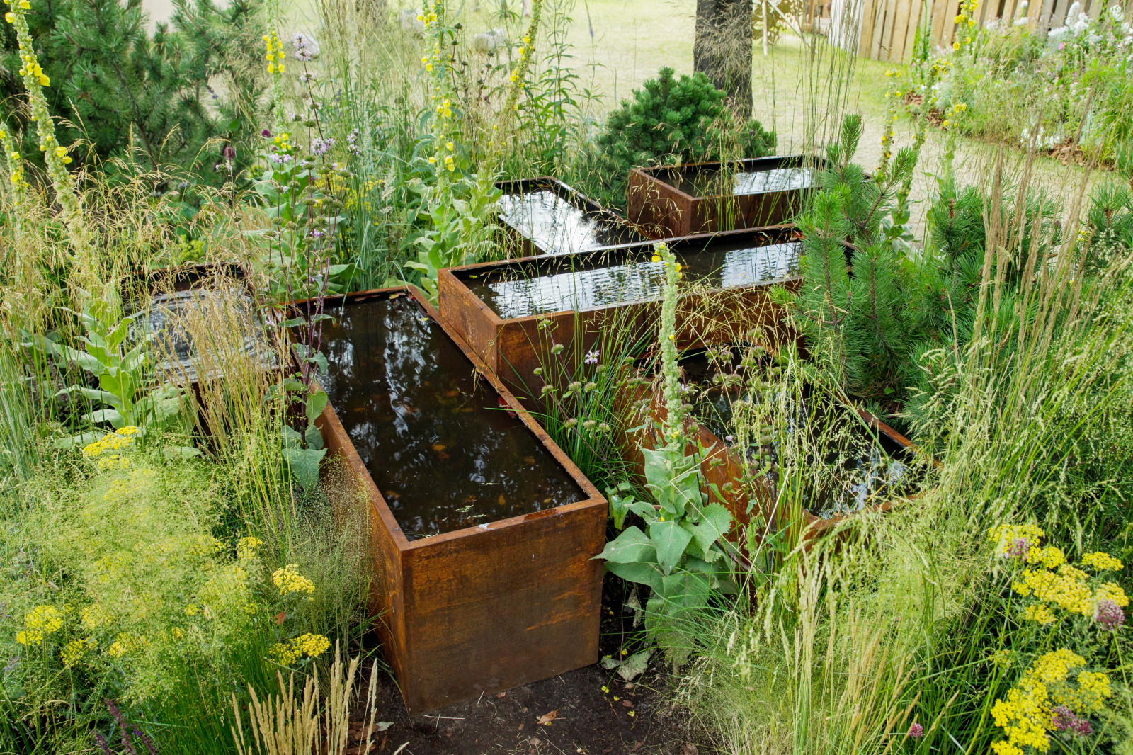 Сад   James Alexander-Sinclair  на Moscow Flower Show 2018  (вне  конкрса)