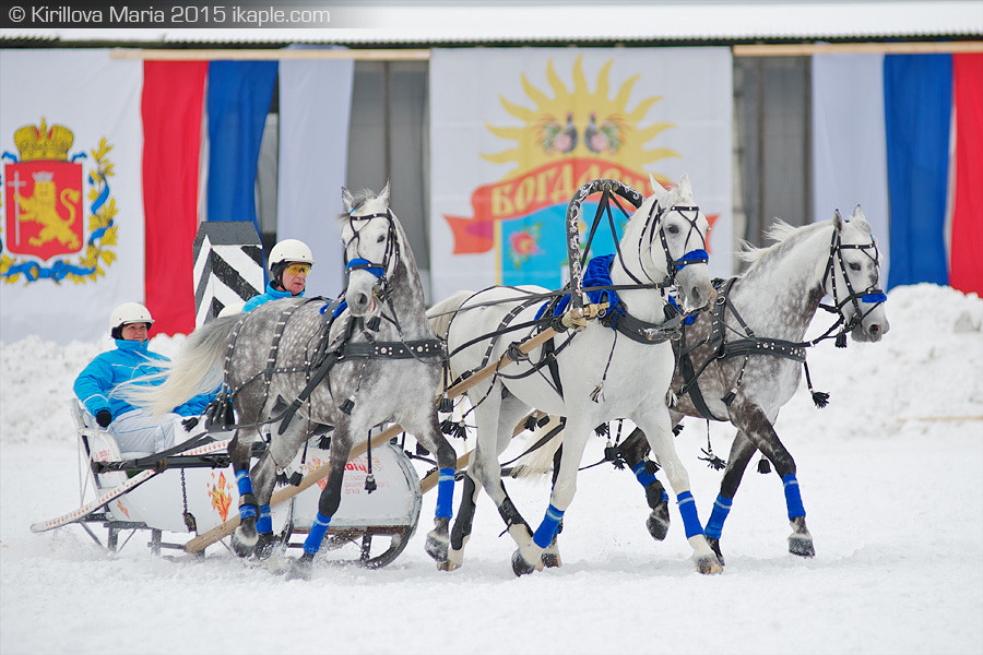 Зима в провинции: Чему учиться на фермах под Москвой